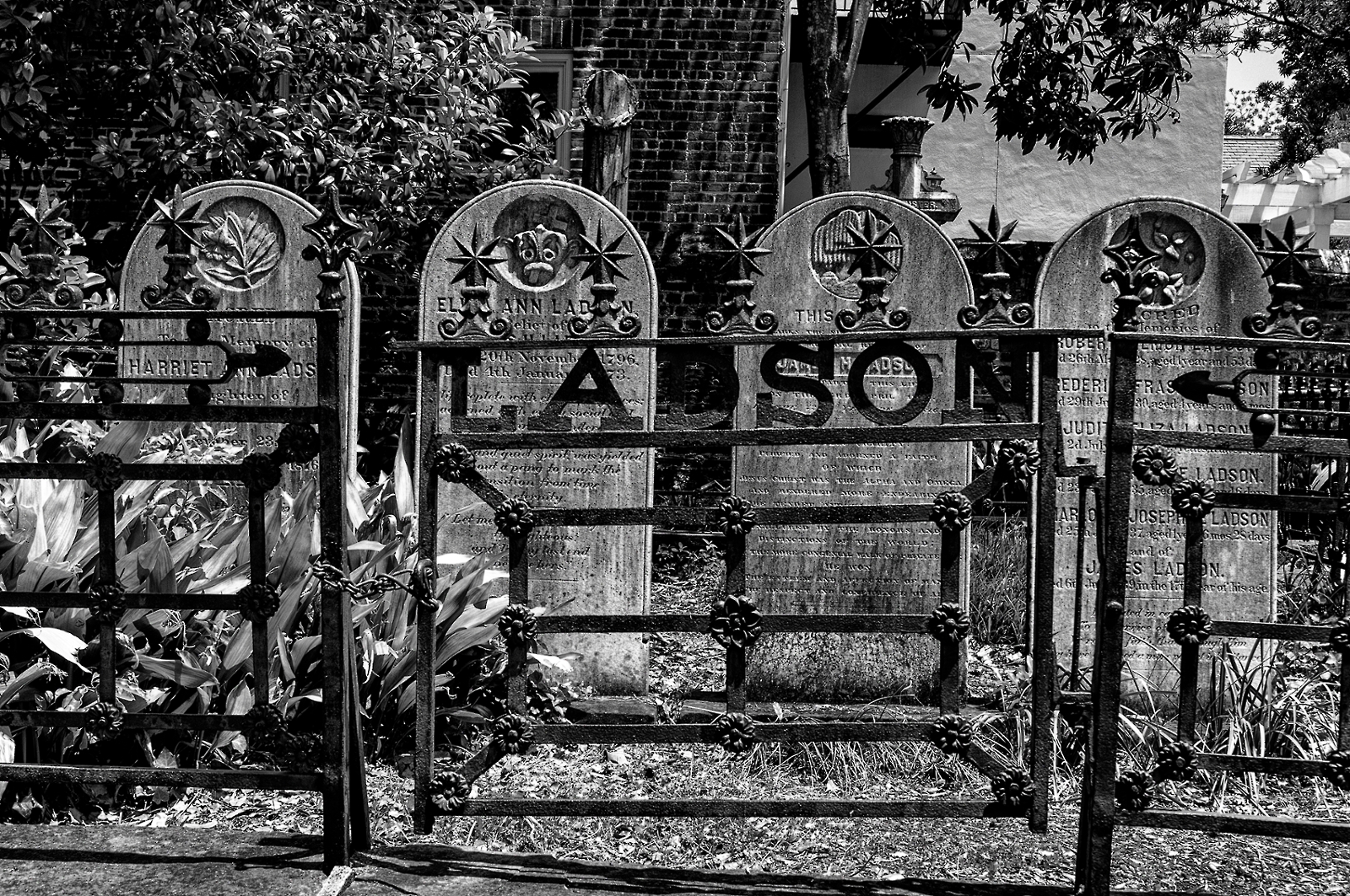 D2X_1890-BW.jpg