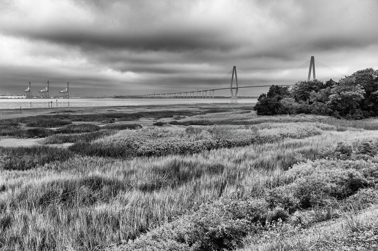 D2X_4758-BW.jpg