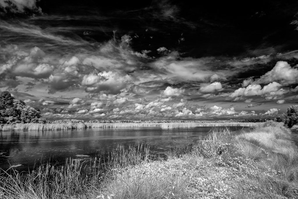 D81_0560.jpg