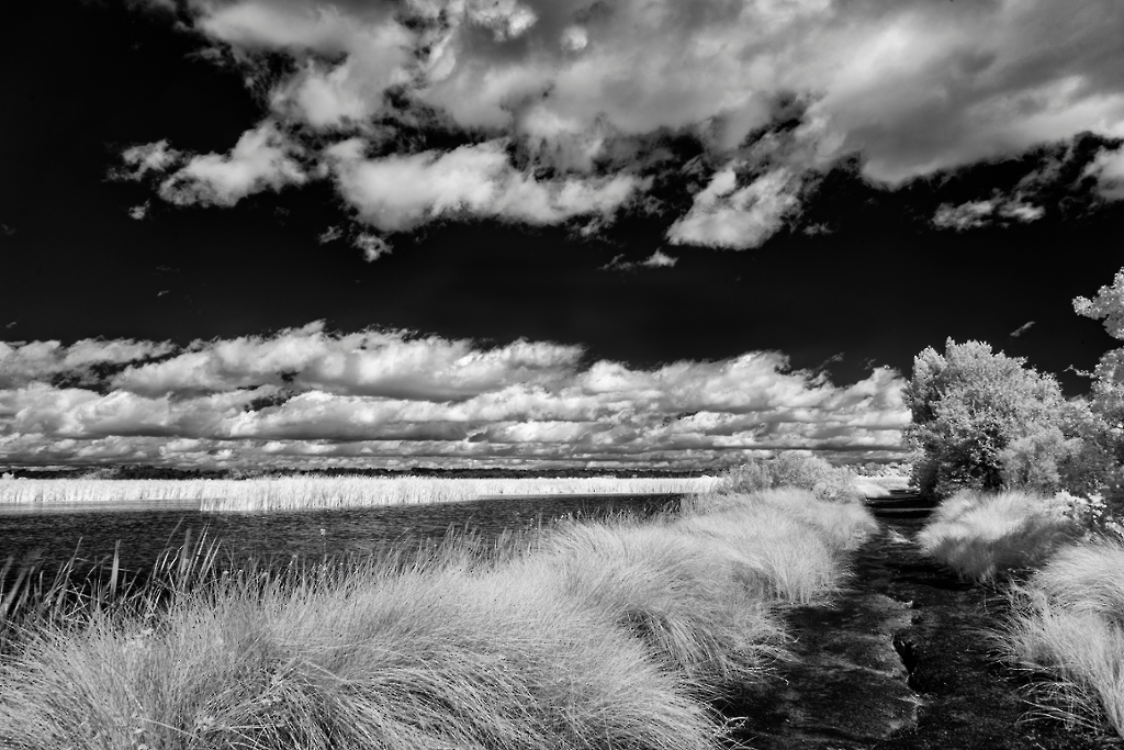 D81_0613.jpg