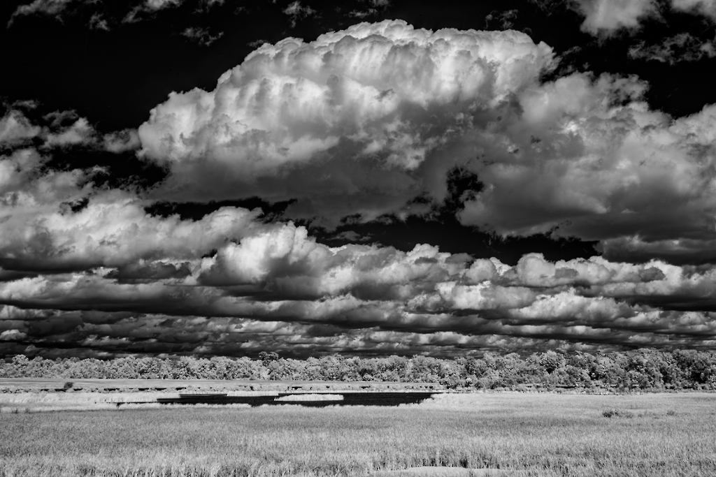 D81_0656.jpg
